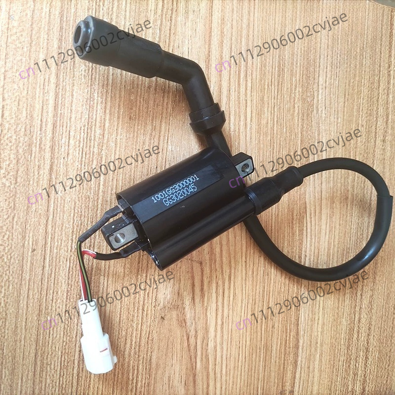 ZT310-V X T R1 2 Motorcycle Hi - Motorcycle Spark Plug recension och pris
